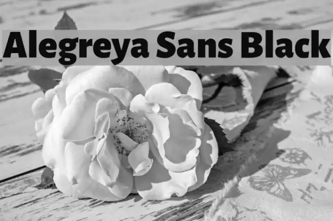 Alegreya Sans Black Font examples