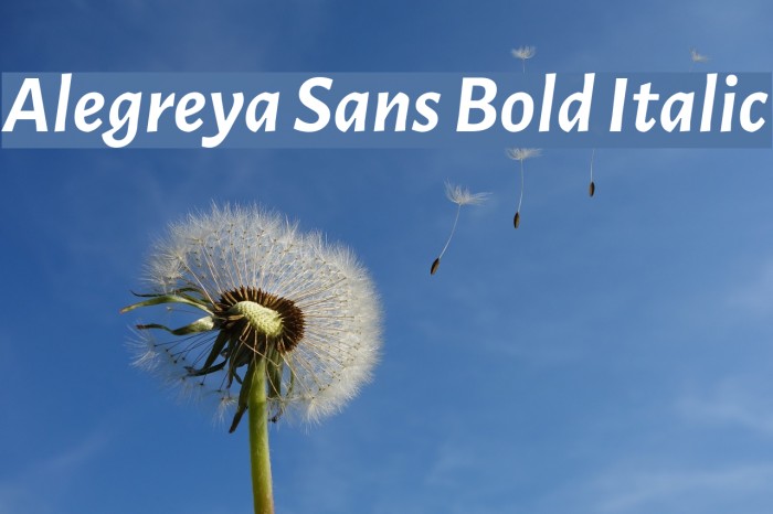 Alegreya Sans Bold Italic Font examples