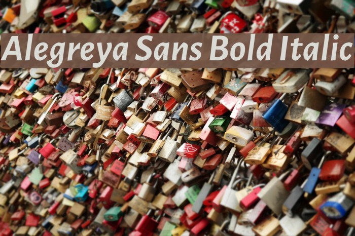 Alegreya Sans Bold Italic Font examples