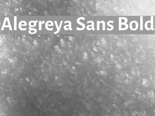 Alegreya Sans Bold Font examples