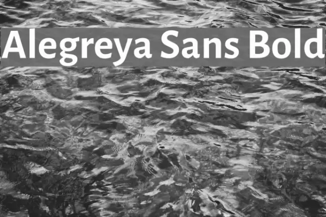 Alegreya Sans Bold Font examples