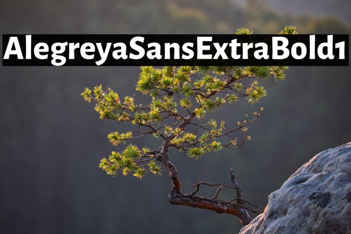 Alegreya Sans ExtraBold1 Example 2