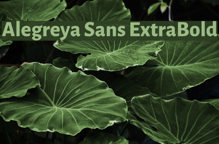Alegreya Sans ExtraBold Font examples