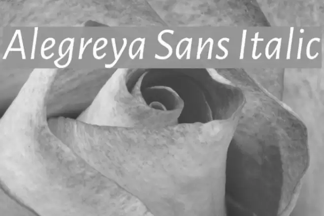 Alegreya Sans Italic Font examples
