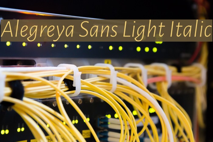 Alegreya Sans Light Italic Font examples