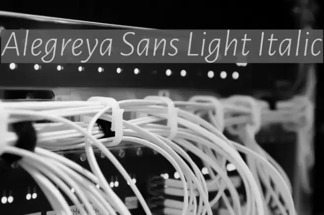 Alegreya Sans Light Italic  examples