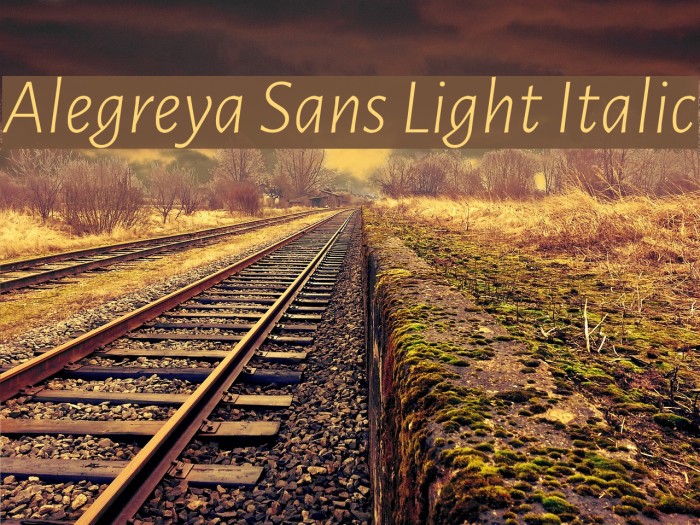 Alegreya Sans Light Italic Font examples
