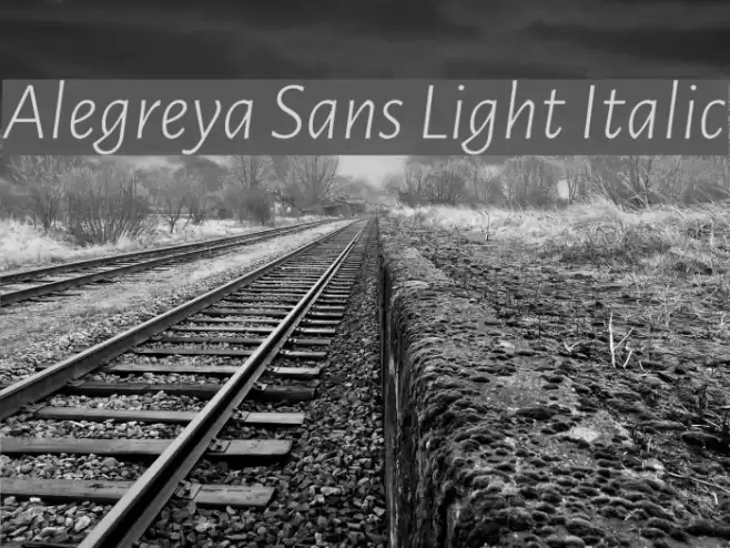 Alegreya Sans Light Italic  examples