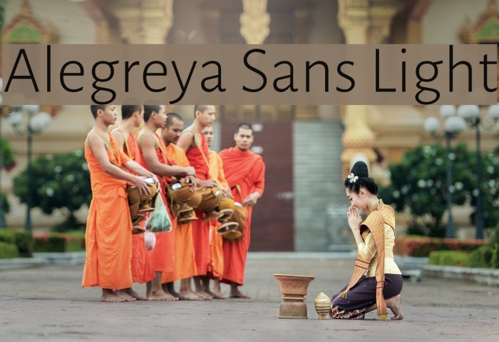 Alegreya Sans Light Font examples