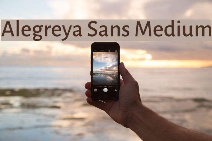 Alegreya Sans Medium Font examples
