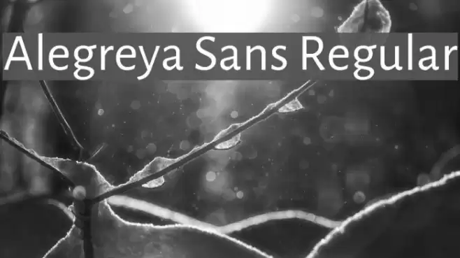 Alegreya Sans Regular Font examples