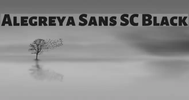 Alegreya Sans SC Black Font examples
