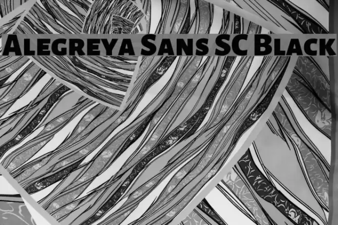 Alegreya Sans SC Black Font examples