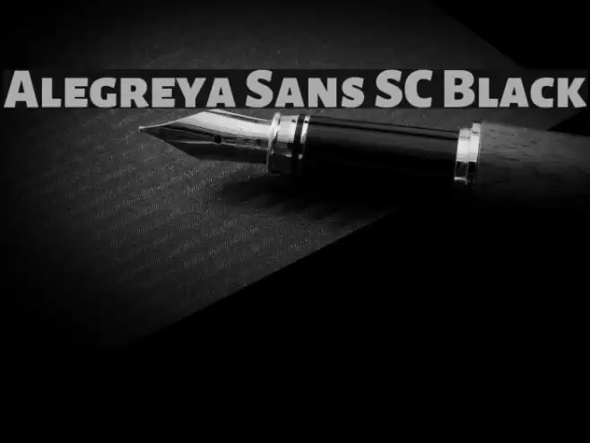 Alegreya Sans SC Black Font examples