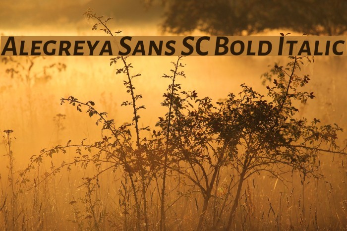 Alegreya Sans SC Bold Italic Font examples