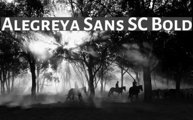 Alegreya Sans SC Bold Font examples
