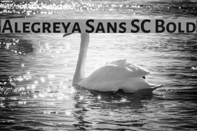 Alegreya Sans SC Bold Font examples