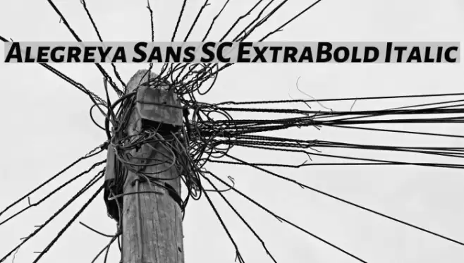 Alegreya Sans SC ExtraBold Italic Font examples