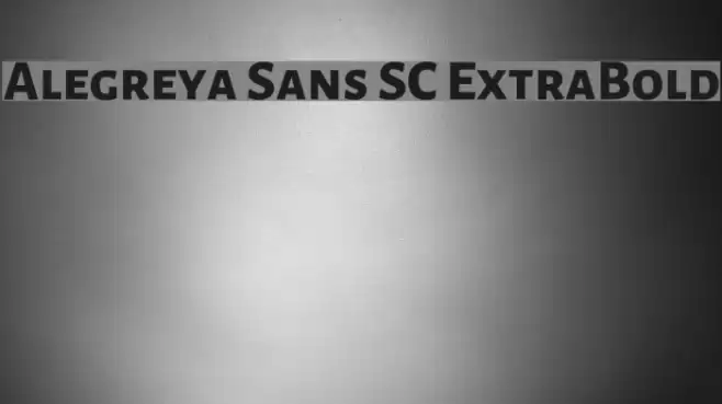 Alegreya Sans SC ExtraBold Font examples