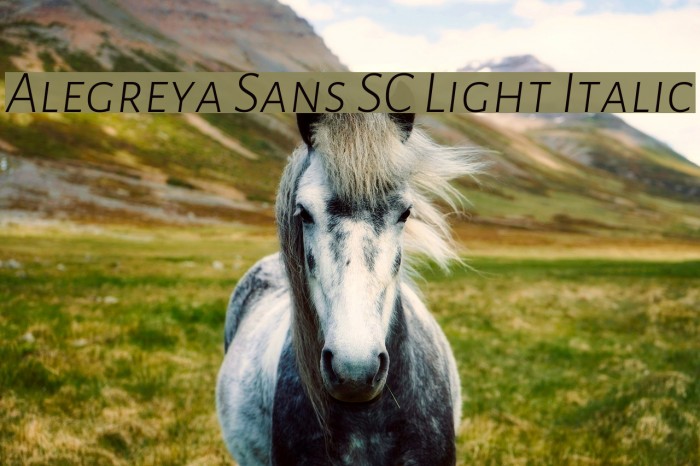 Alegreya Sans SC Light Italic Font examples