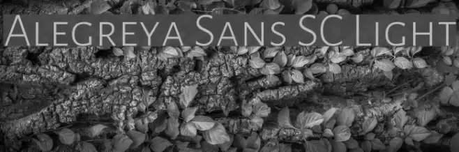 Alegreya Sans SC Light Font examples