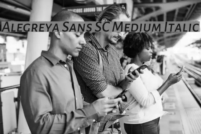 Alegreya Sans SC Medium Italic Font examples