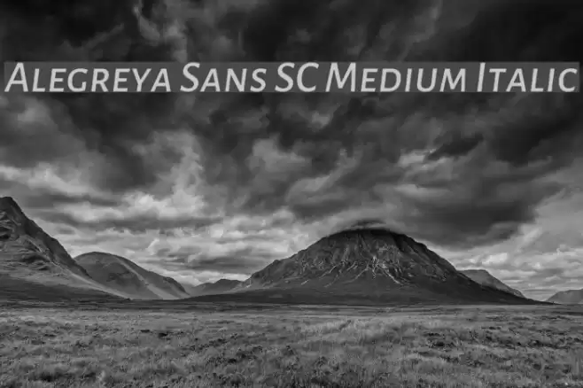 Alegreya Sans SC Medium Italic Font examples