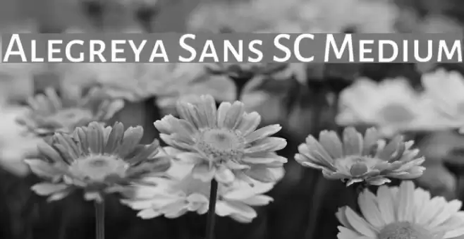 Alegreya Sans SC Medium Font examples