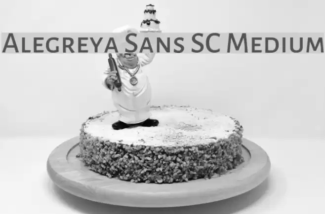 Alegreya Sans SC Medium Font examples