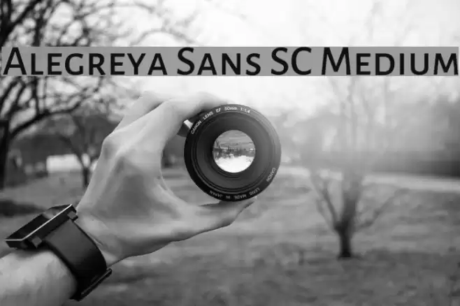 Alegreya Sans SC Medium Font examples