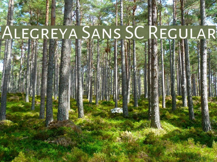Alegreya Sans SC Regular Font examples