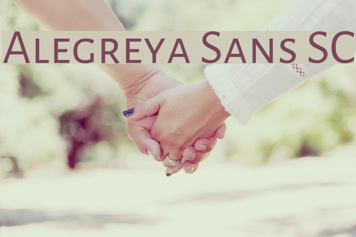 Alegreya Sans SC Font examples
