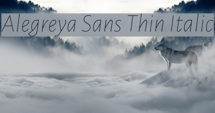 Alegreya Sans Thin Italic Font examples