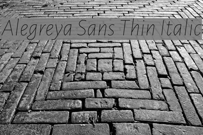 Alegreya Sans Thin Italic Font examples