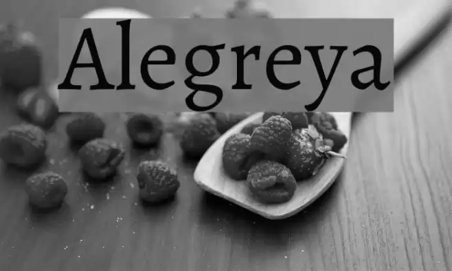 Alegreya Font examples