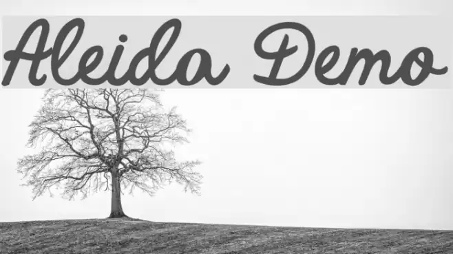 Aleida Demo Font examples