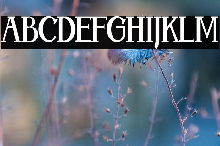 Aleijadinho Example 2