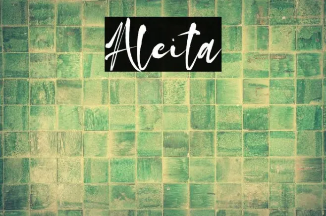 Aleita Example 2