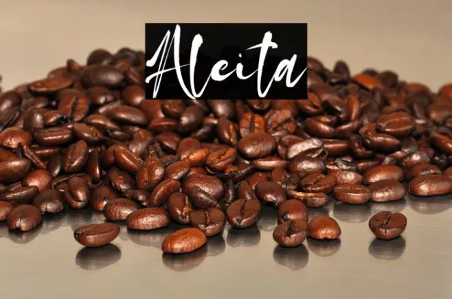 Aleita Example 3