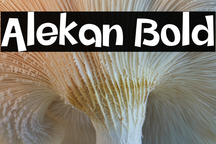Alekan Bold Example 1