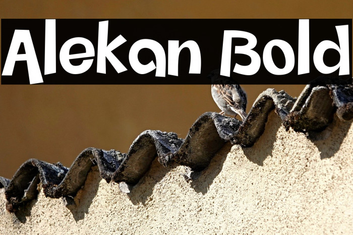 Alekan Bold Example 2