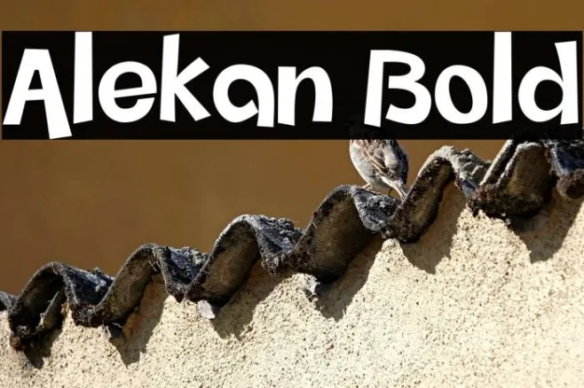 Alekan Bold Example 2