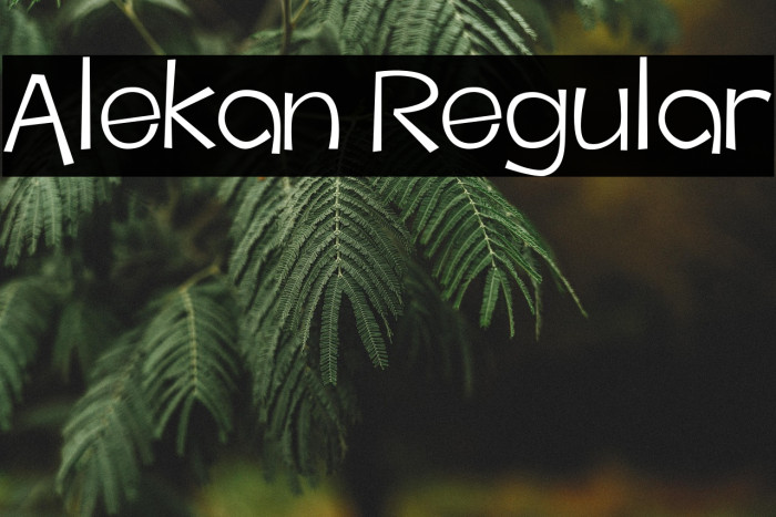 Alekan Regular Example 2