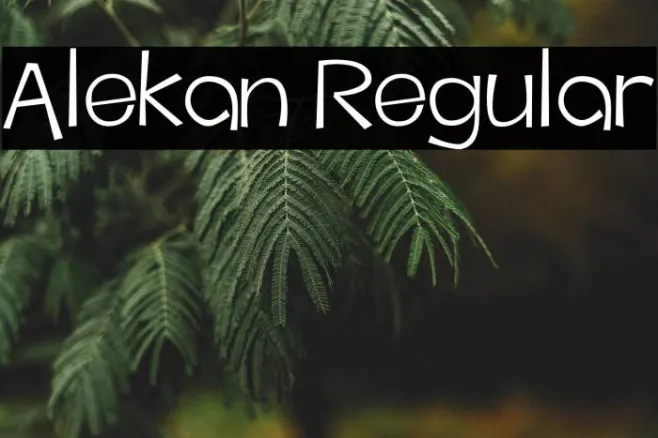 Alekan Regular Example 2