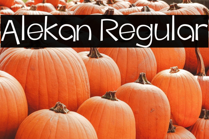 Alekan Regular Example 3