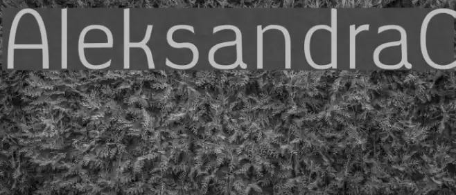 AleksandraC Font examples
