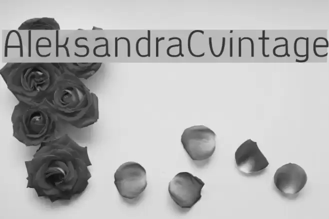 AleksandraCvintage Font examples