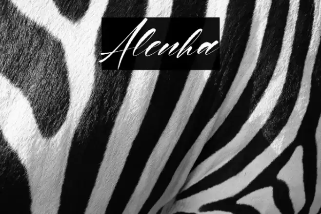 Alenha Font examples