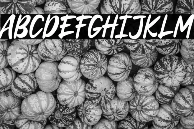 Alenor Polices examples