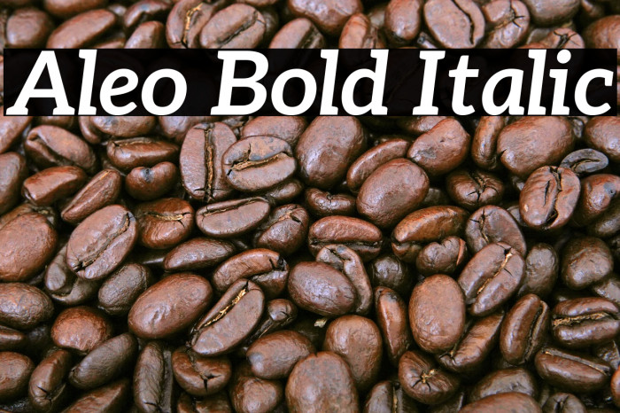 Aleo Bold Italic フォント examples